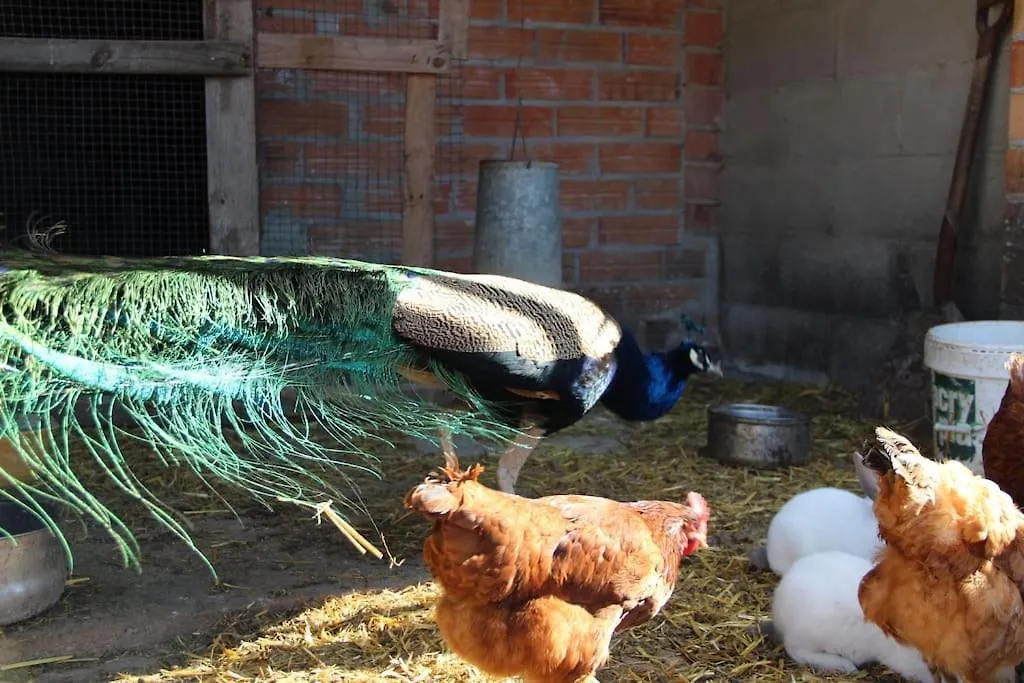 Semesterbostad Casa Rural Espasa Espluga de Francolí Spanien
